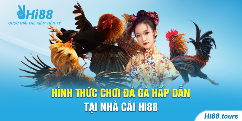 Hình thức chơi đá gà hấp dẫn tại nhà cái Hi88