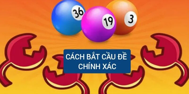 cach-bat-cau-de-chinh-xac