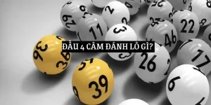 dau-4-cam-danh-lo-gi